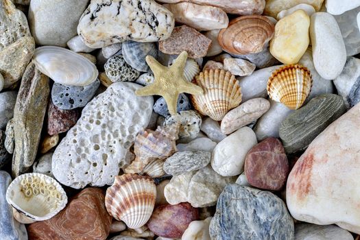 Detail of the various sea pebbles on the beach with shells