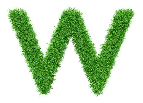 Green Grass Letter W. Isolated On White Background. Font For Your Design. 3D Illustration