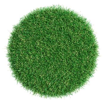 Grass pot top view. Isolated on white. 3D illustration