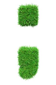 Green grass semicolon, isolated on white background. 3D illustration