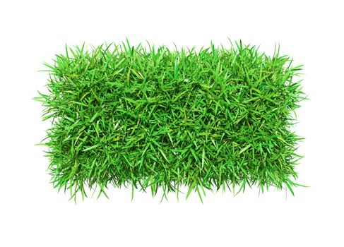 Green grass minus, isolated on white background. 3D illustration