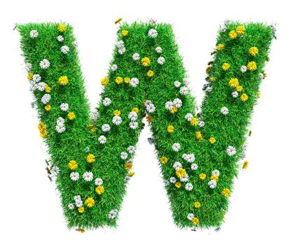 Letter W Of Green Grass And Flowers. Isolated On White Background. Font For Your Design. 3D Illustration