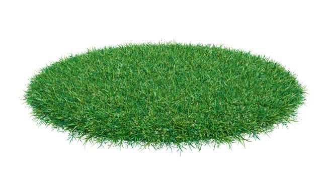 Mock-up round piece of green grass. Empty space for your product or text. Template for design. 3d illustration