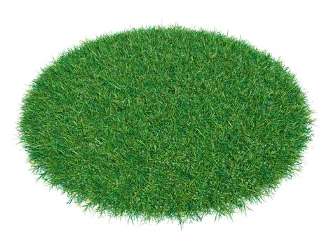 Fresh green grass on white background. 3D illustration. Empty space for your product or text