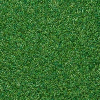 Green grass background texture. 3D Illustration. Nature backdrop