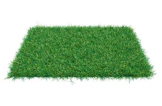 Fresh green grass on white background. 3D illustration. Empty space for your product or text