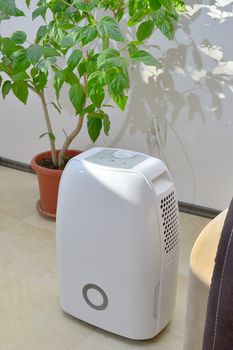 Portable dehumidifier colect water from air inside of living room