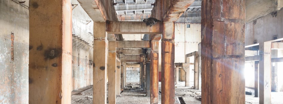 ruins of a very heavily polluted industrial factory, industrial series