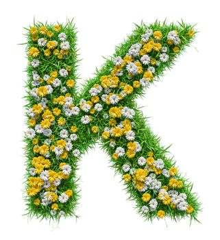 Letter K Of Green Grass And Flowers. Isolated On White Background. Font For Your Design. 3D Illustration