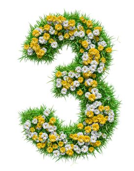Number 3 of Green Grass And Flowers, isolated on white background. 3D illustration