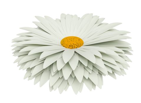 Chamomile flower isolated on white. For greeting cards and invitations of wedding, birthday, mother's day, holiday. 3D illustration