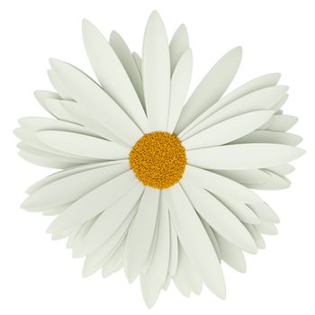 Chamomile flower isolated on white. For greeting cards and invitations of wedding, birthday, mother's day, holiday. 3D illustration