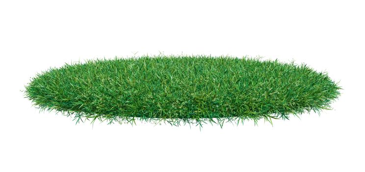 3d rendering of green grass arena, isolated on white background. Empty space for your product or text