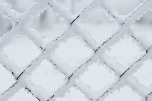 Freezing rain or sleet covered this fence in an urban area