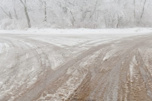 Freezing rain covered this road in a park forest