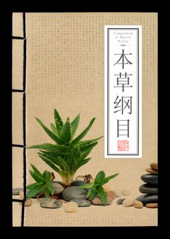 (Clipping path) Ancient Chinese medical book on black background