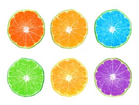 Color citrus slice isolated on white background