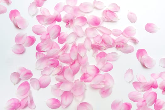 Petals background