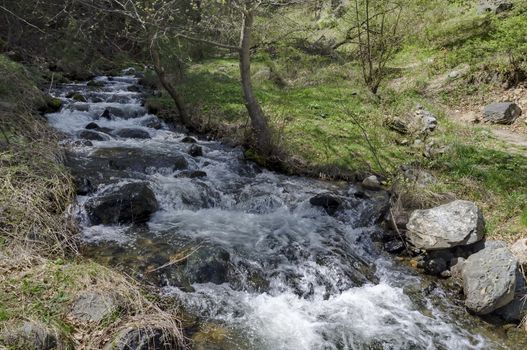 Small mountain river in Vitosha mountain, Sofia