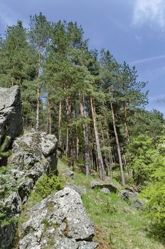 Vitosha mountain area by Jeleznitsa village, Sofia