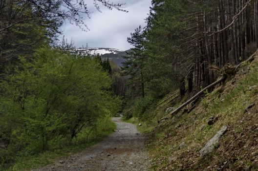 Vitosha mountain area by Jeleznitsa village, Sofia