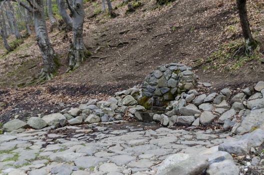 Fountain with fresh cold water in mountain Vitosha, Sofia