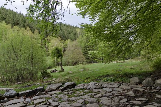 Vitosha mountain area by Jeleznitsa village, Sofia