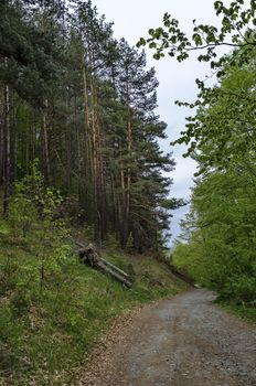 Vitosha mountain area by Jeleznitsa village, Sofia