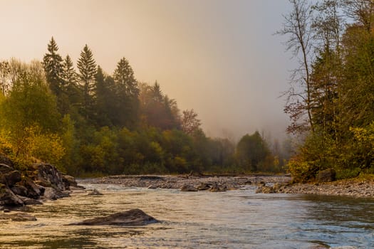 Misty with light coming through and autumn trees