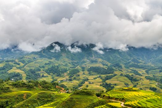 Sapa mountians hidden in the clouds with rice paddy fields in the foreground