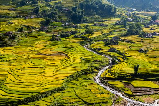 Local houses in a rice field with a river running through