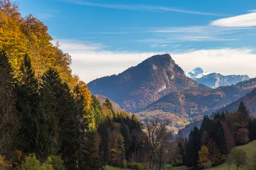 Autumn in the Rhone Alps, Mont Blanc in the background.