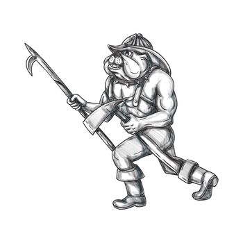 Tattoo style illustration of a bulldog firefighter holding pike pole and fire axe walking viewed from the side set on isolated white background. 