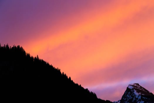 orange and purple sky with silhouette foreground