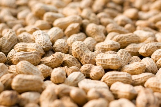 Pile of Peanut background