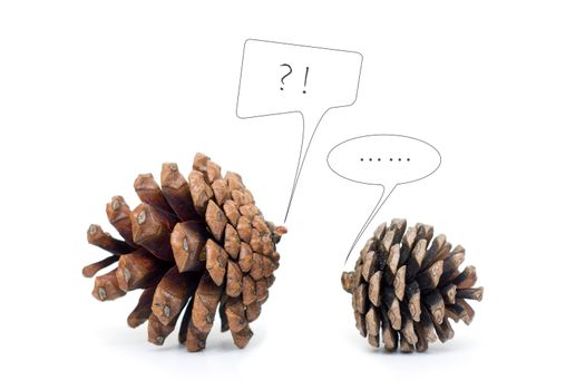 Pinecone Dialogue isolated on white background