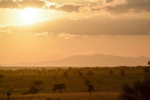 Sunset over the savanna of West Tsavo Park in Kenya