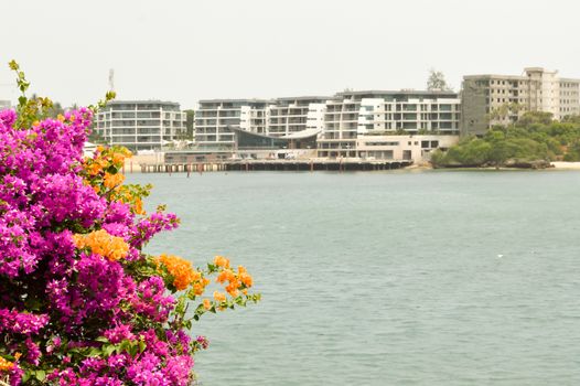 View of the Mombasa River in Kenya with orange and violet flowers in the foreground and a restaurant in the background