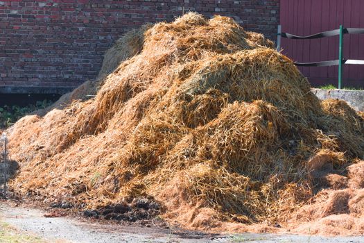 
A manure pile on a farm in the background a wall of bricks.
