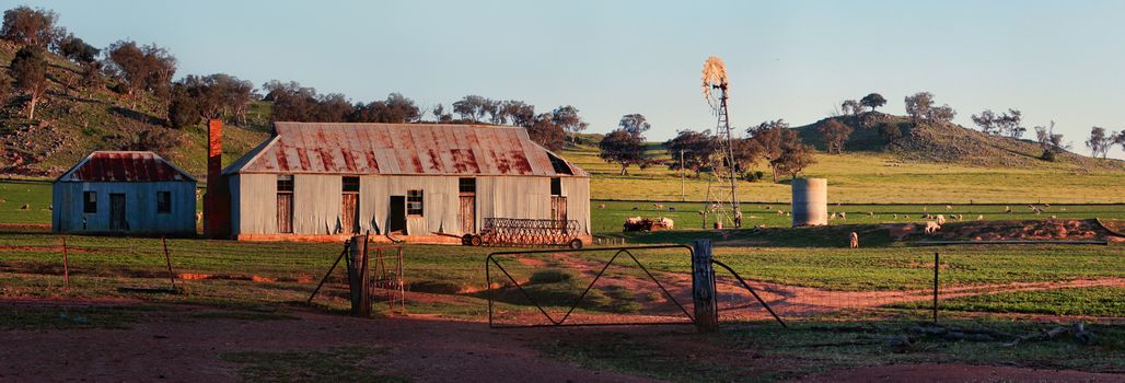 Old sheep station and shearing shed buildings in Central West NSW Australia in the late afternoon light.