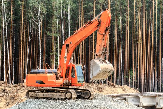Excavator in a pine forest