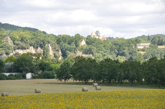 Rural landscape in Dordogne