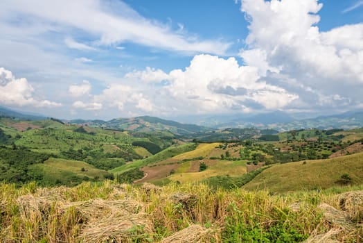 Beautiful landscape of rice farmland on the foothill in northern Thailand