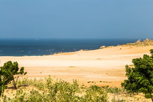 white sand beach with ocean in the background