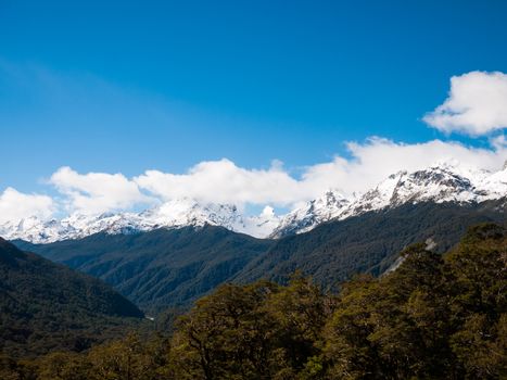 A blue sky day with a wild landscape