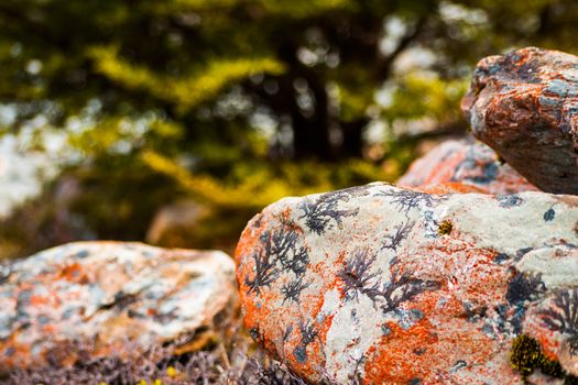 orange rocks with patterns over them