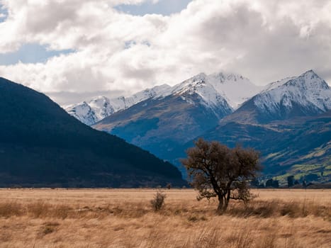 A cloudy day with a wild landscape