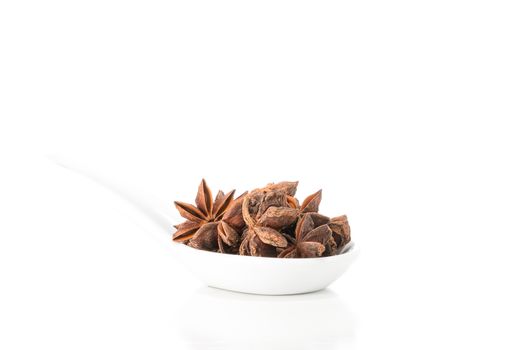 Whole star of anise presented in a white spoon with ample copy space..