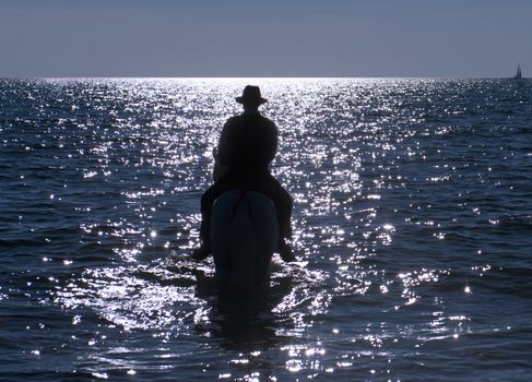 horse rider walking in the sea in evening