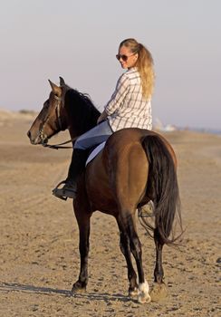 horsewoman and her horse on the beach